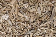 biomass boilers The Wrangle